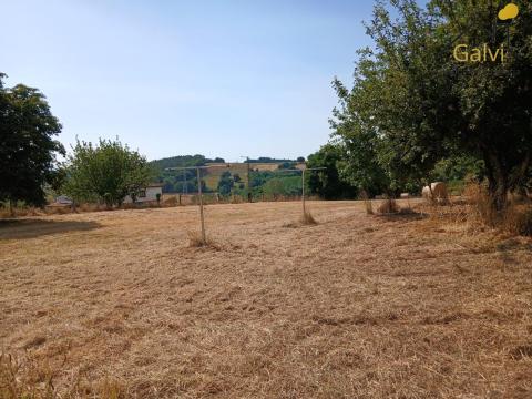 Finca